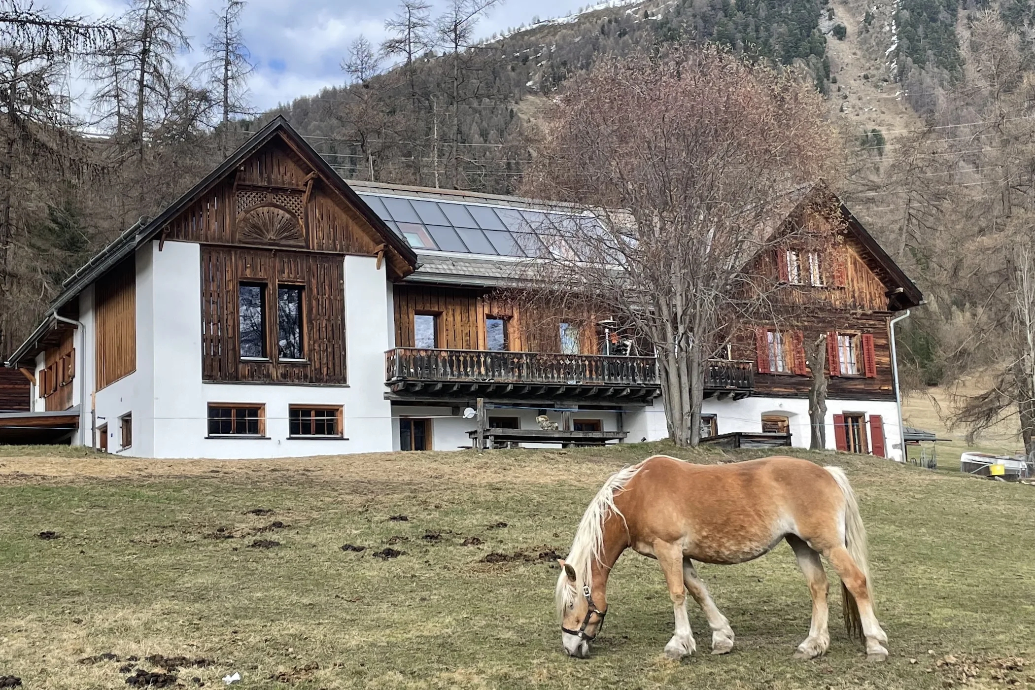 Acla Muragl 5 und 9 | Punt Muragl | Samedan